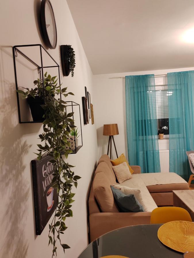 Krstic_Lux Apartman 수보티차 외부 사진